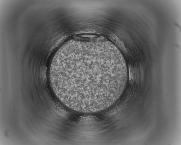 X0000096670300200803041226