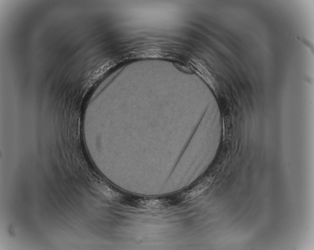 X0000096670301200803041226