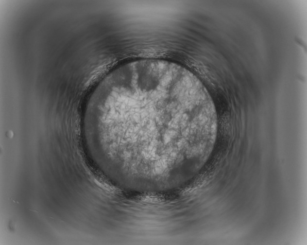 X0000096670303200803041226