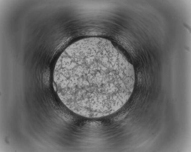 X0000096670304200803041226