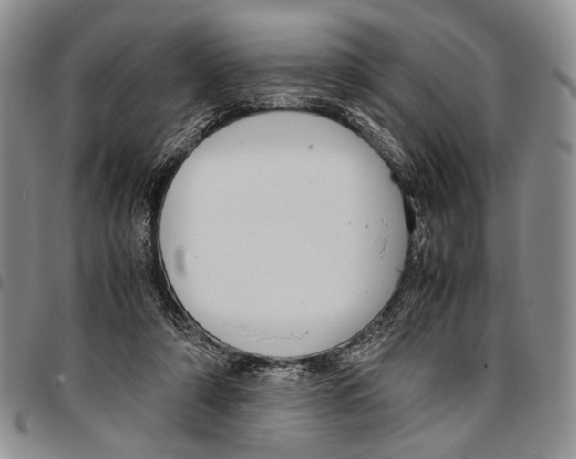 X0000096670306200803041226