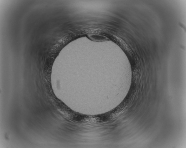 X0000096670307200803041226