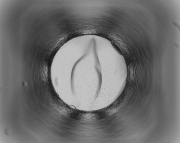 X0000096670308200803041226
