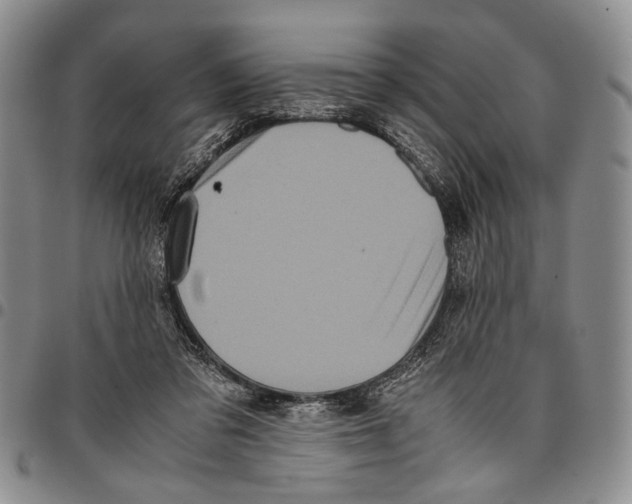 X0000096670309200803041226