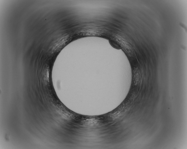 X0000096670310200803041226