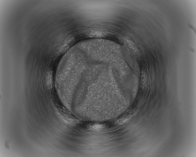 X0000096670312200803041226
