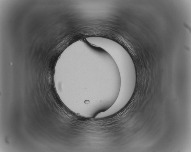 X0000096670313200803041226