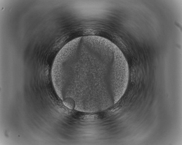 X0000096670314200803041226