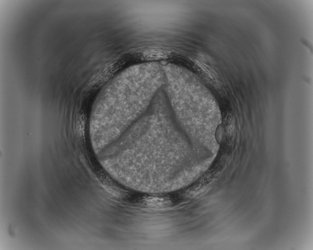 X0000096670315200803041226
