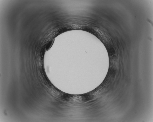 X0000096670317200803041226