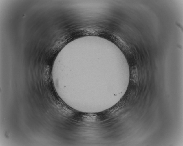 X0000096670318200803041226