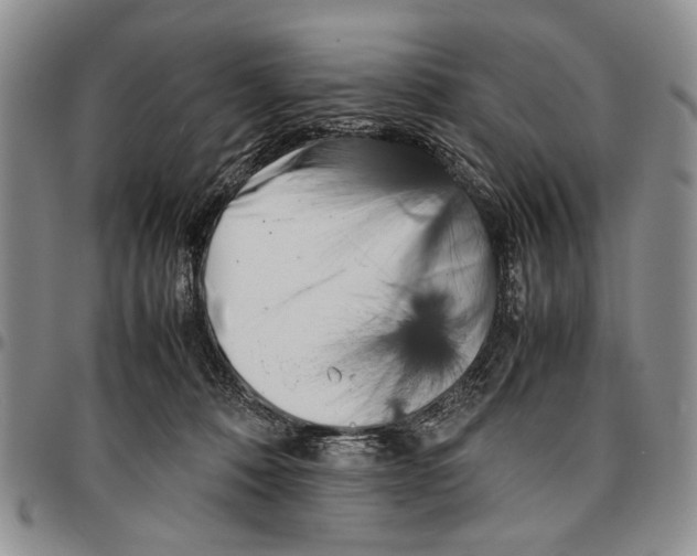X0000096670320200803041226