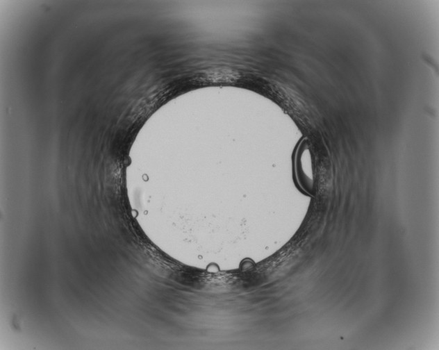 X0000096670321200803041226