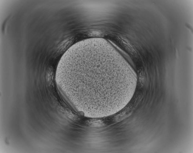 X0000096670322200803041226