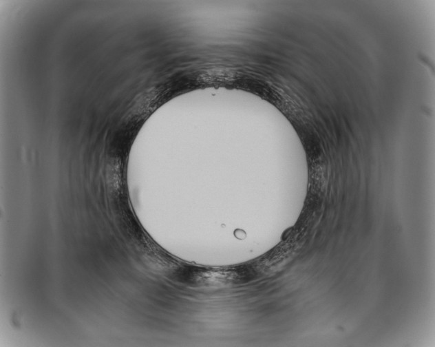 X0000096670323200803041226