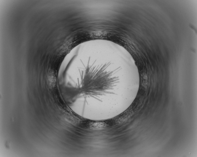 X0000096670324200803041225
