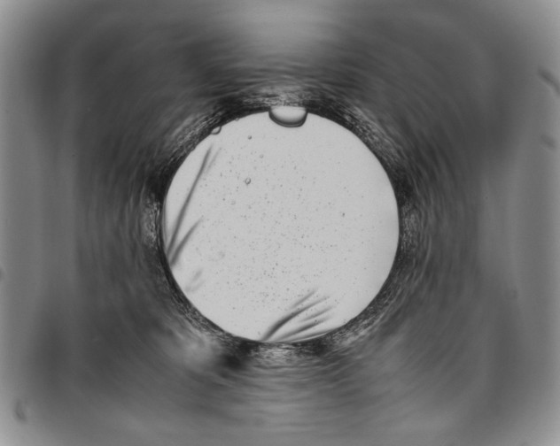X0000096670325200803041225