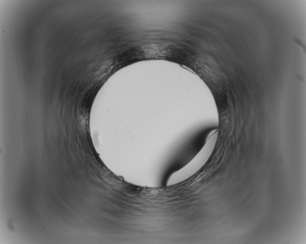 X0000096670329200803041225