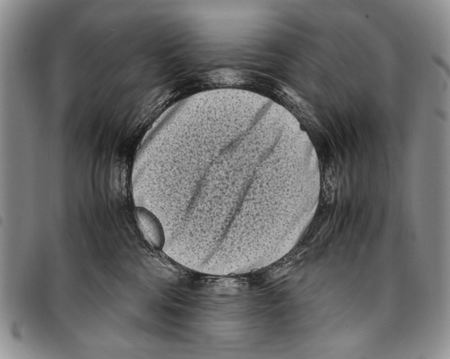 X0000096670330200803041225