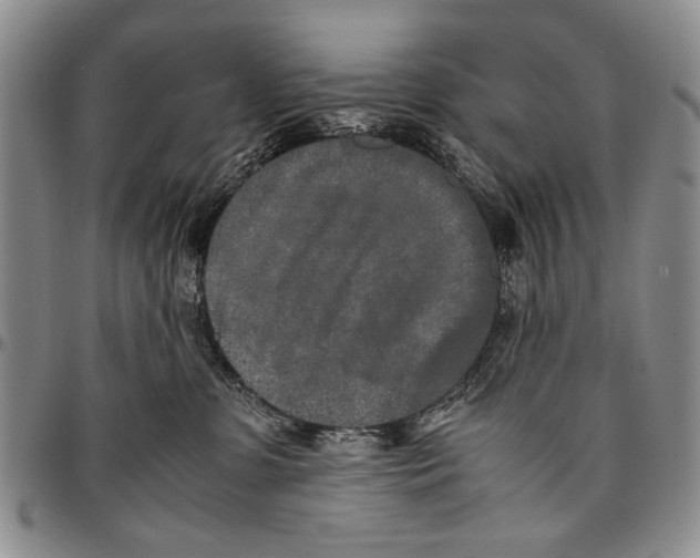 X0000096670331200803041225