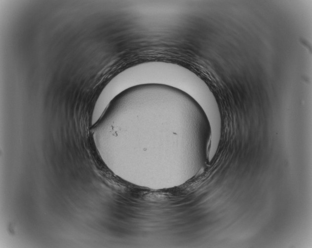 X0000096670332200803041225