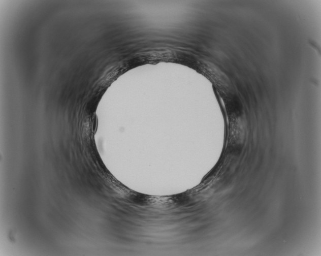 X0000096670333200803041225