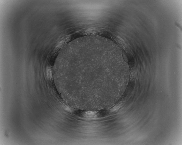 X0000096670335200803041225