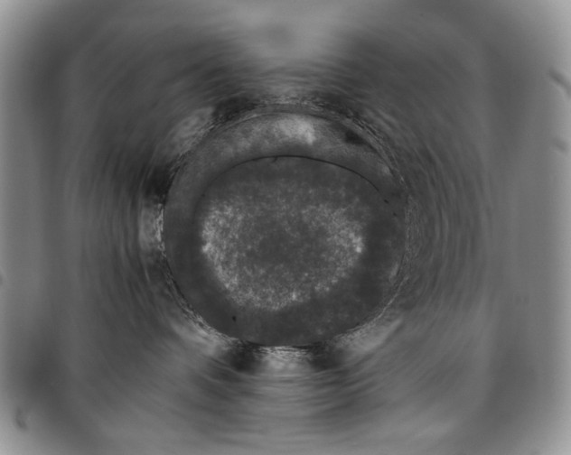X0000096670336200803041225