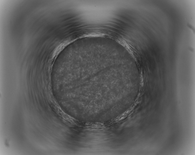 X0000096670337200803041225