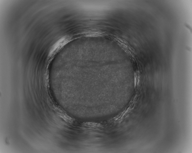 X0000096670339200803041225