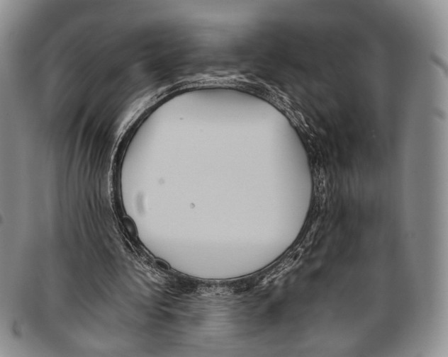 X0000096670340200803041225