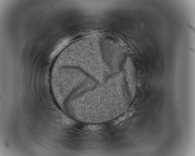 X0000096670341200803041225