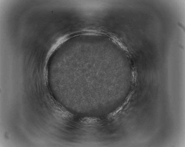 X0000096670343200803041225