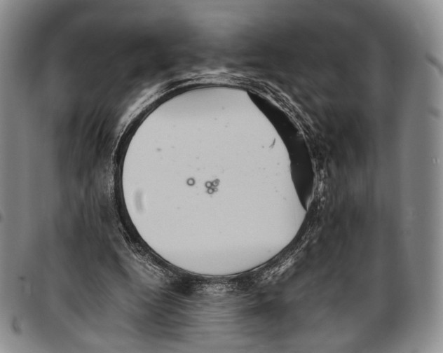 X0000096670344200803041225