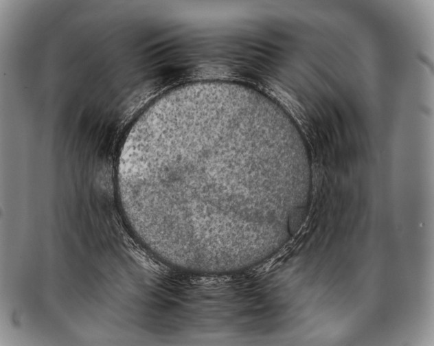 X0000096670345200803041225