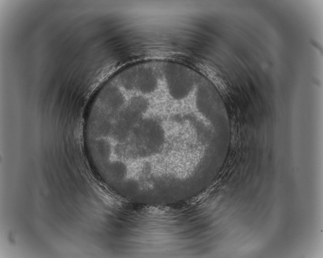 X0000096670346200803041225