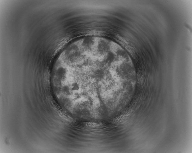X0000096670347200803041225