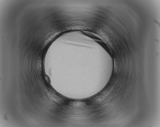 X0000096670348200803041225