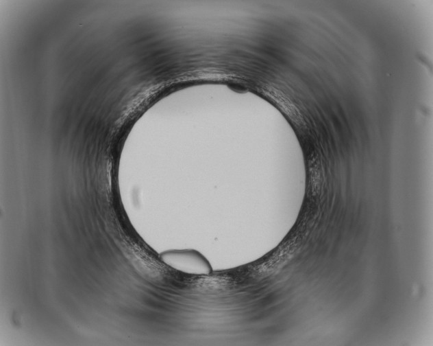 X0000096670350200803041225