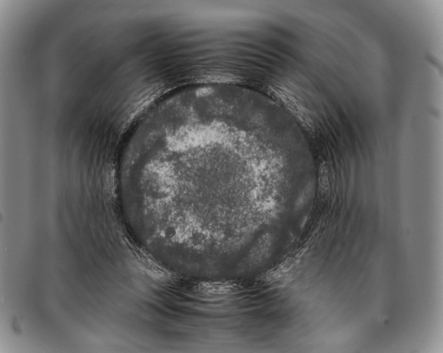 X0000096670351200803041225