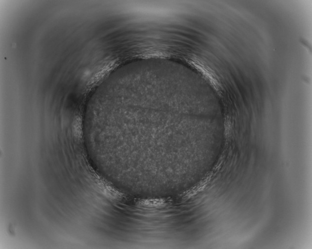 X0000096670353200803041225