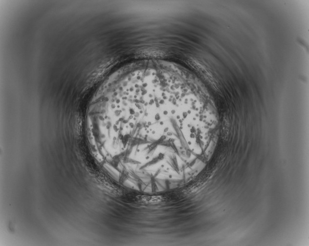 X0000096670355200803041225