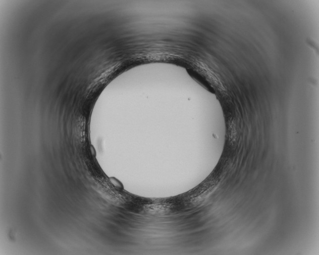 X0000096670356200803041225