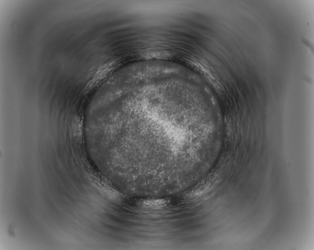 X0000096670357200803041225