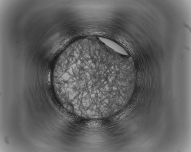X0000096670358200803041225