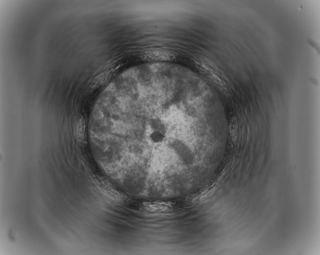 X0000096670359200803041225