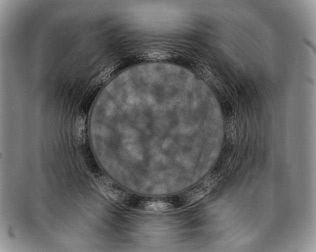 X0000096670360200803041225