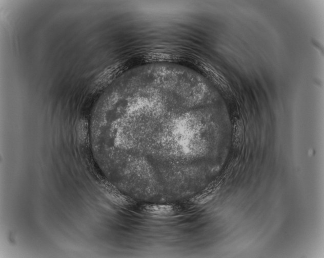 X0000096670361200803041225