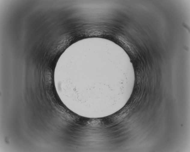 X0000096670362200803041225