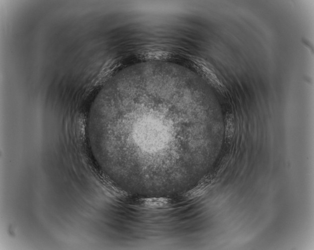 X0000096670363200803041225